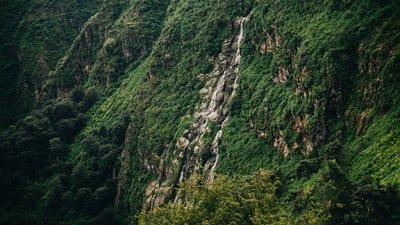 青山